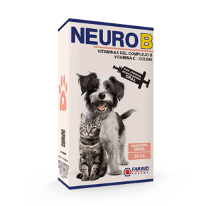 Neuro B
