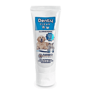 Denty Clean